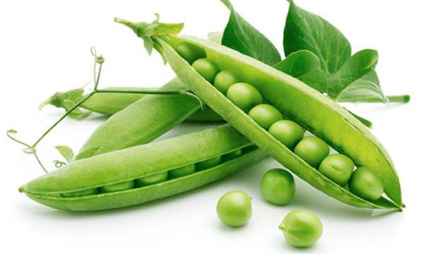 Bezelyenin faydaları nelerdir? Vücuda ne gibi yararları vardır?