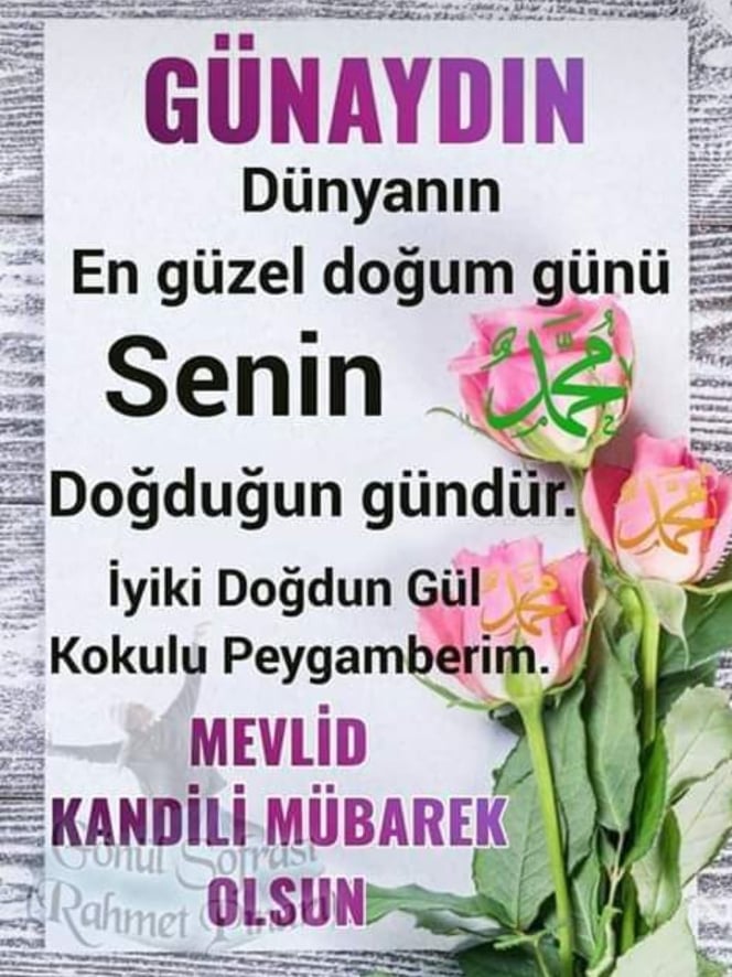 İSLAM ALEMİN MEVLİD’İ MÜBAREK OLSUN