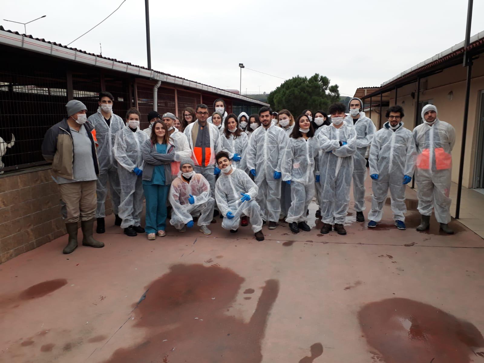 ÜSKÜDAR’DA HAYVAN BARINAĞI’NIN MİSAFİRİ MÜHAK GÖNÜLLÜLERİ OLDU