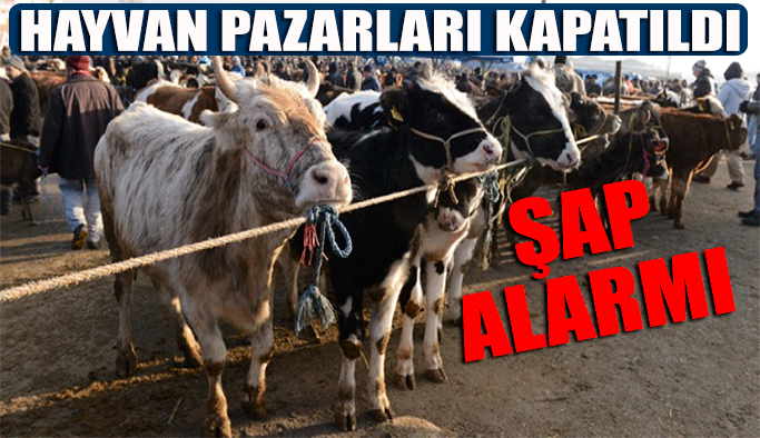 Çorum’da Tüm Hayvan Pazarları kapatıldı!