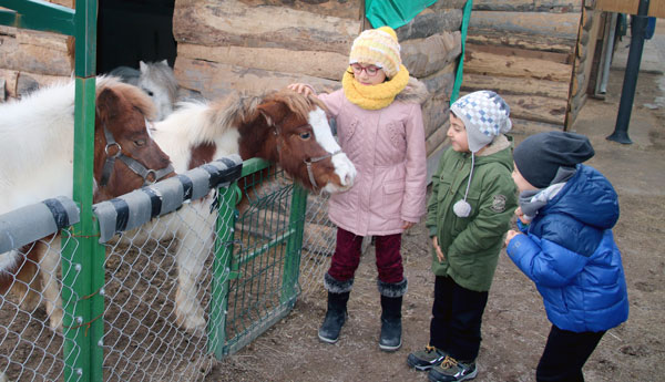 Tatil Çocuklarının Pony Sevinci