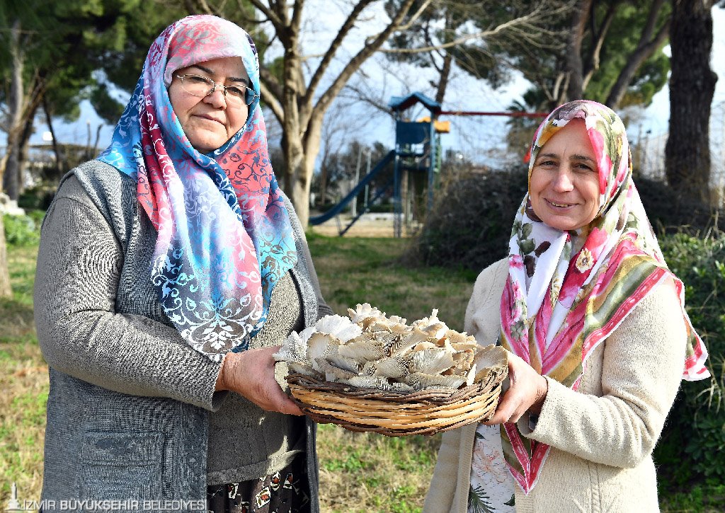 İZMİR BELEDİYESİNİN VERDİĞİ DESTEKLE MANTAR ÜRETİMİ GEÇİM KAYNAKLARI OLDU