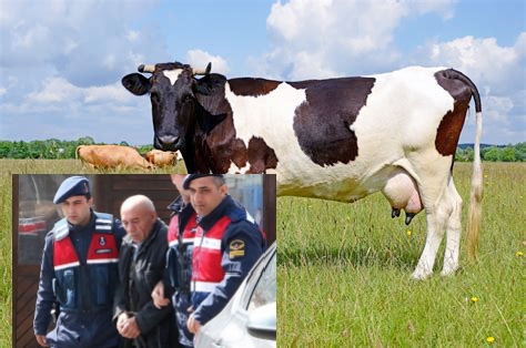 Kılıçdaroğlu’na saldıran Osman Sarıgün İnek hırsızı çıktı