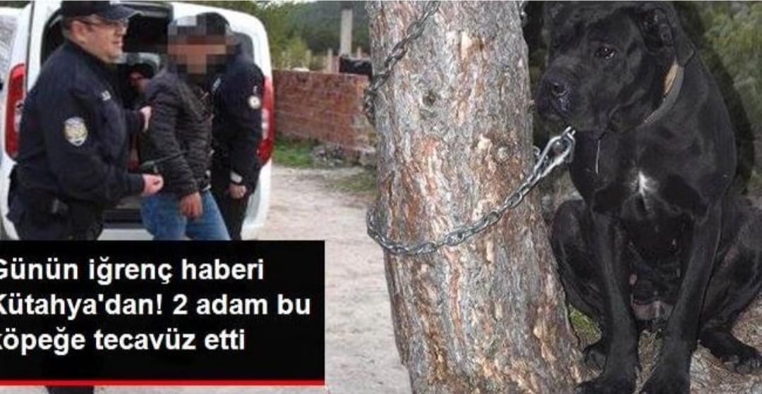 Vicdansızlar Köpeğe Tecavüz Ettiği İddia Edilen 2 Kişi Gözaltına Alındı