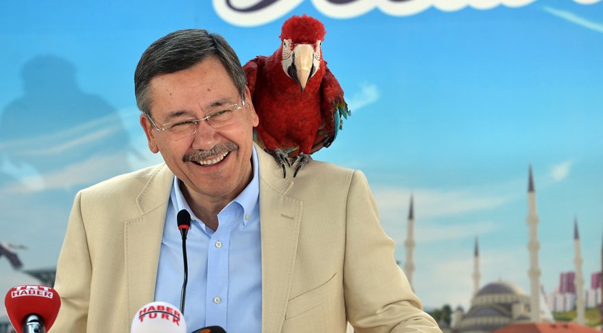 Ankapark İsrafı Gün Yüzüne Çıkıyor: 801 Milyon Dolarlık ‘Dinozor Soygunu' Tartışmaları Yeniden Alevlendi