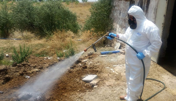 İlaçlama Ekipleri Çalışmalarını Artırdı