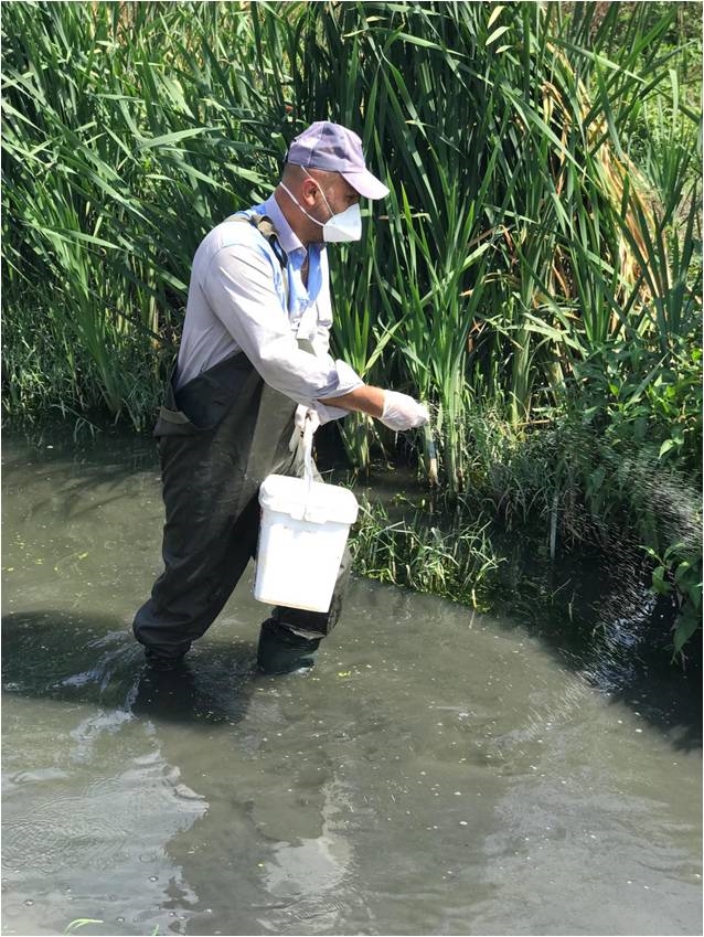 İBB AVCILAR’DAKİ “BATI NİL VİRÜSÜ” İLE MÜCADELE ÇALIŞMALARINI ARTTIRDI