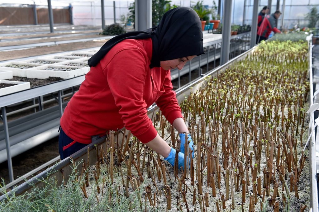 ANKARA BÜYÜKŞEHİR BELEDİYESİ ÇEVRE VE PEYZAJ AKADEMİSİ İLE ÖRNEK BİR PROJEYE DAHA