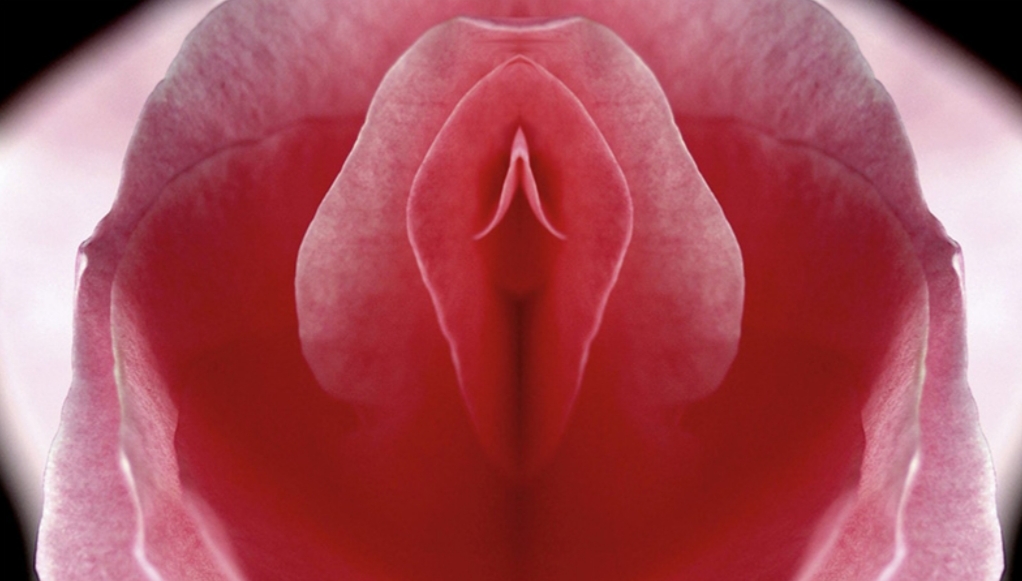 ‘Vajina İncili’i adlı kitaba Twitter, Facebook ve Instagram’dan reklam engeli