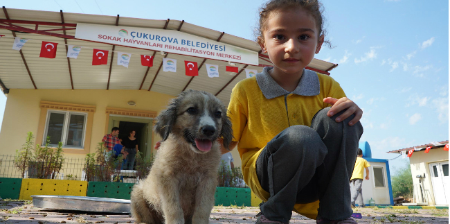 ÖĞRENCİ VE PATİLERİN RENKLİ BULUŞMASI