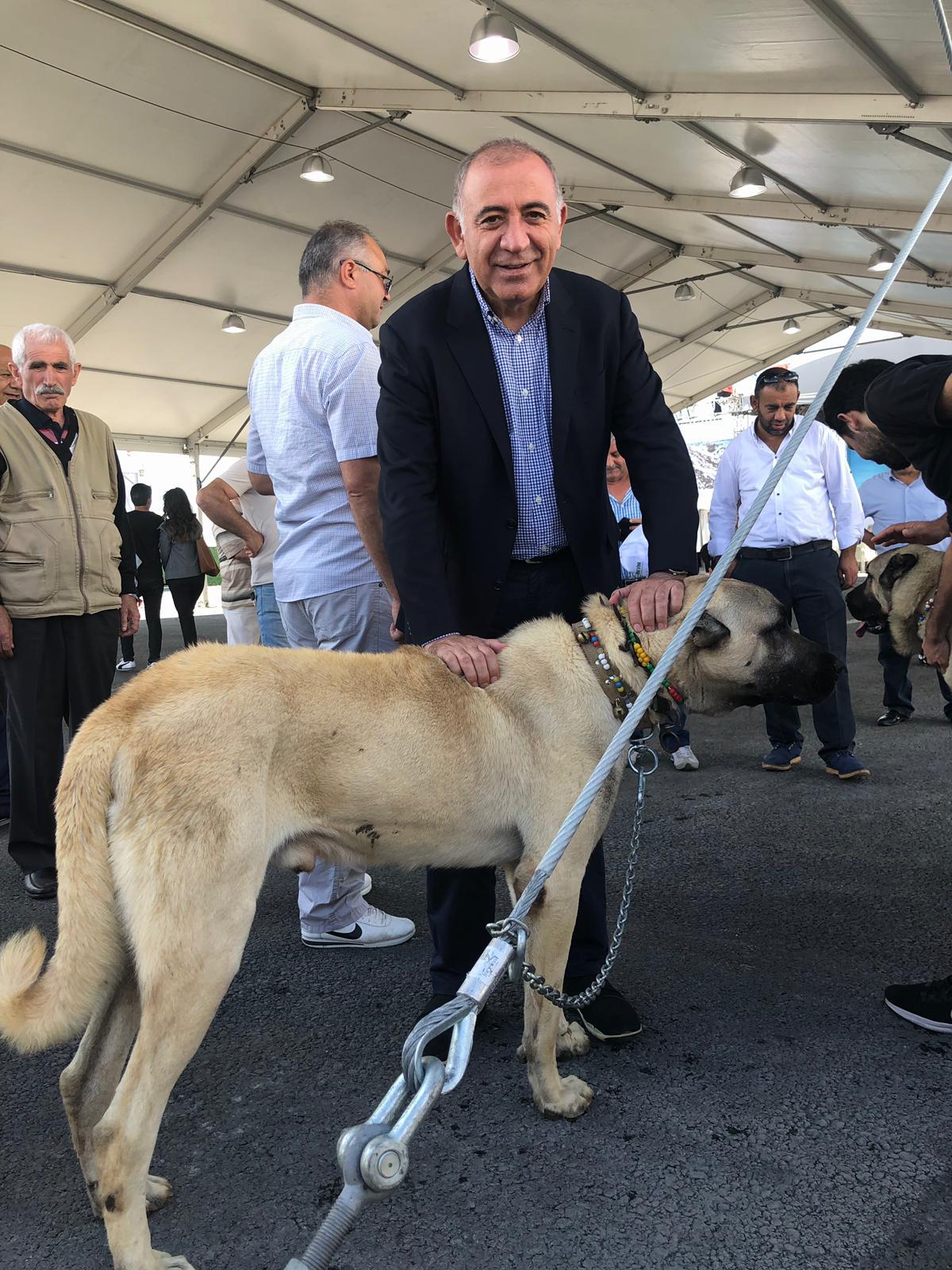 CHP İstanbul Milletvekili Tekin’den “hayvan haklarına” ilişkin kanun teklifi