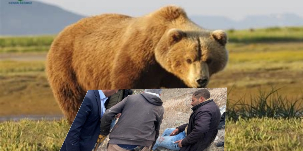 Ardahan’da ayı çobana saldırdı
