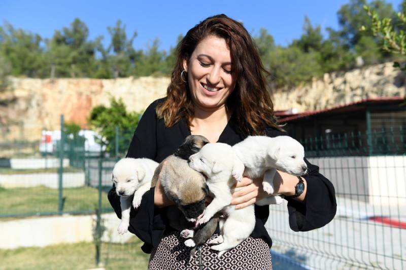 Bunun Adı Vicdansızlık! Ölmek üzereyken bulundular