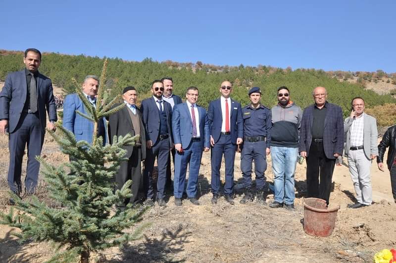 İLÇEMİZDE REKOR KATILIMLA FİDANLARIMIZ TOPRAKLA BULUŞTU