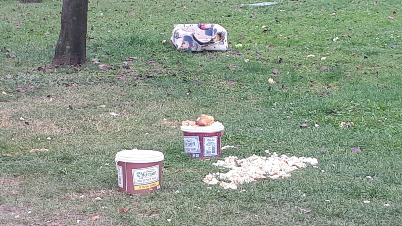 ÇEKMEKÖY’DE PARKLAR PİSLİK İÇİNDE!