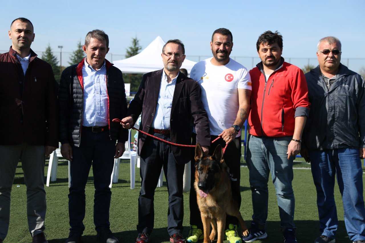 ALMAN ÇOBAN KÖPEKLERİ ÇEKMEKÖY’DE KIYASIYA YARIŞTI