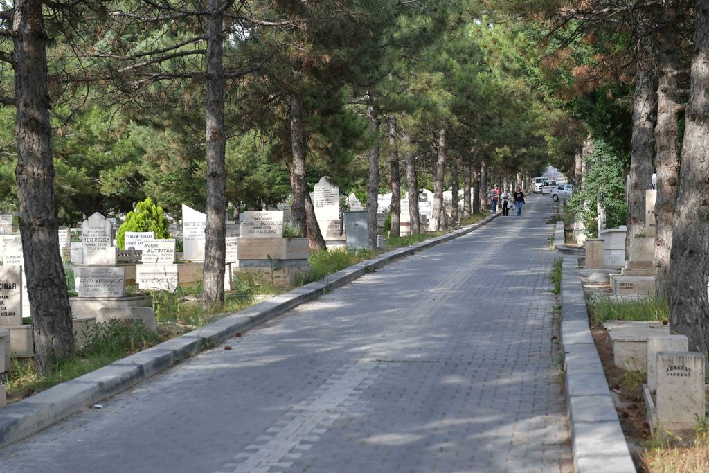 Deniz Demiralp'in Amcası Ali Rıza Demiralp Hayatını Kaybetti"