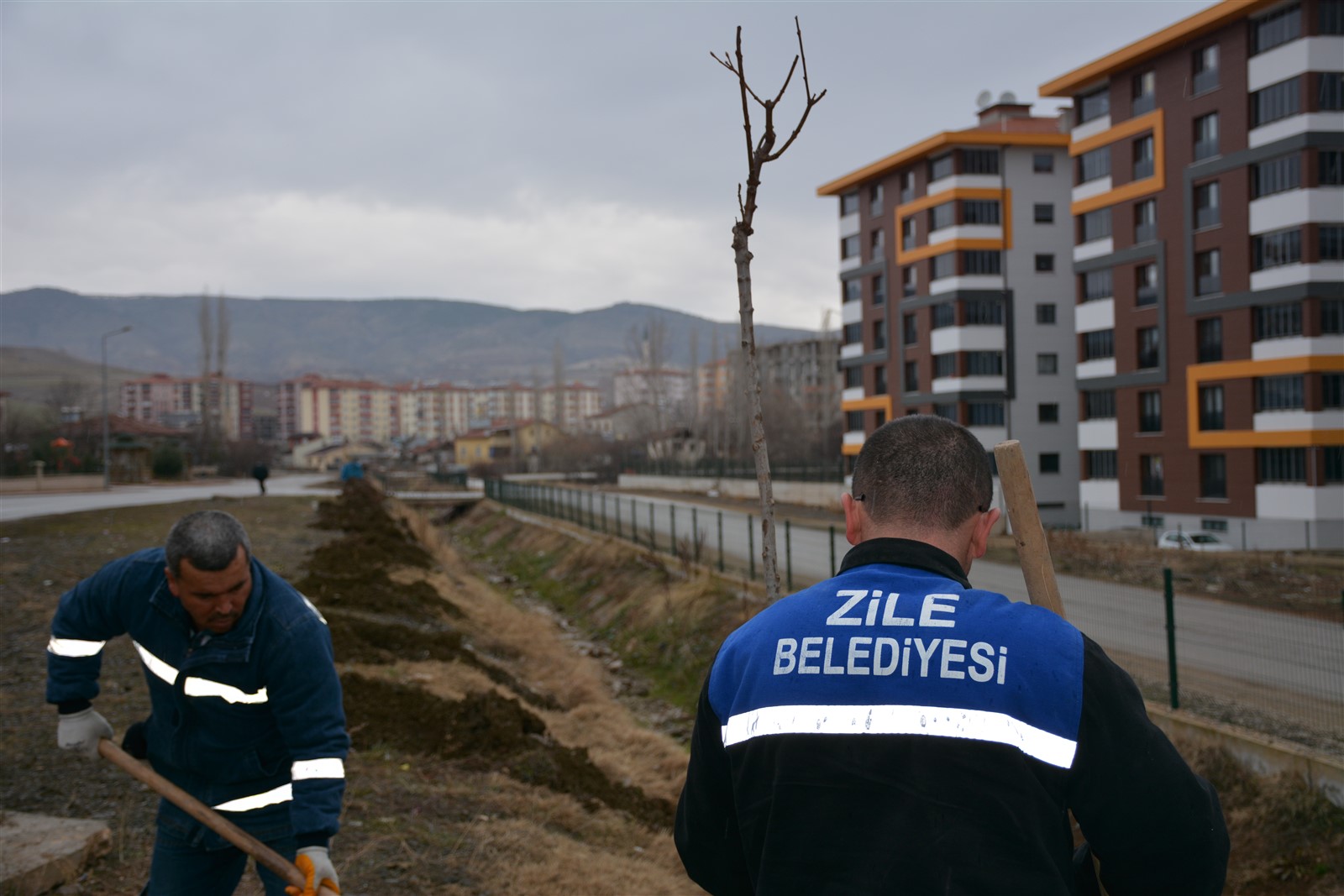 Baharın gelişiyle birlikte Fidanlar Toprakla Buluşmaya Devam Ediyor