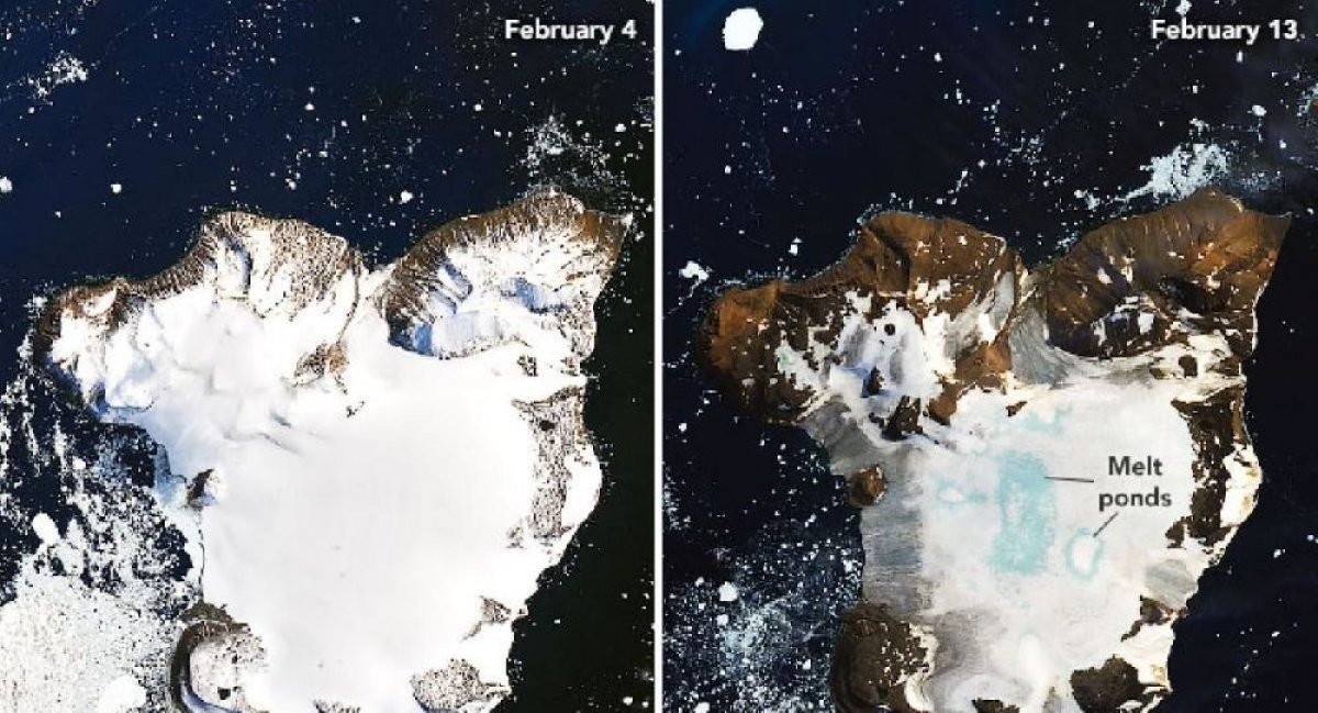 Antarktika'daki buzul erimelerine ilişkin fotoğraflar