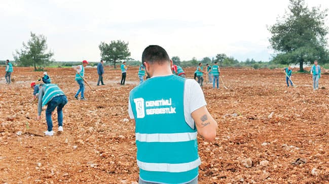 ‘Denetimli mahkum’ ormanları