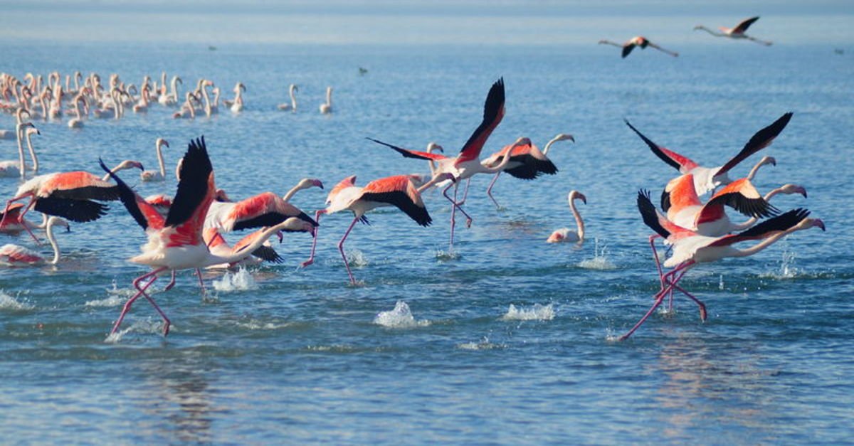 BARAJ VE GÖLLERE GİRMEK TEHLİKELİDİR!