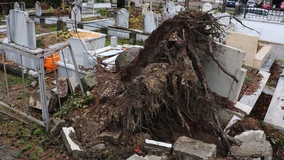 Mezarlıkta korkutan görüntü! Yakınları hemen oraya koştu