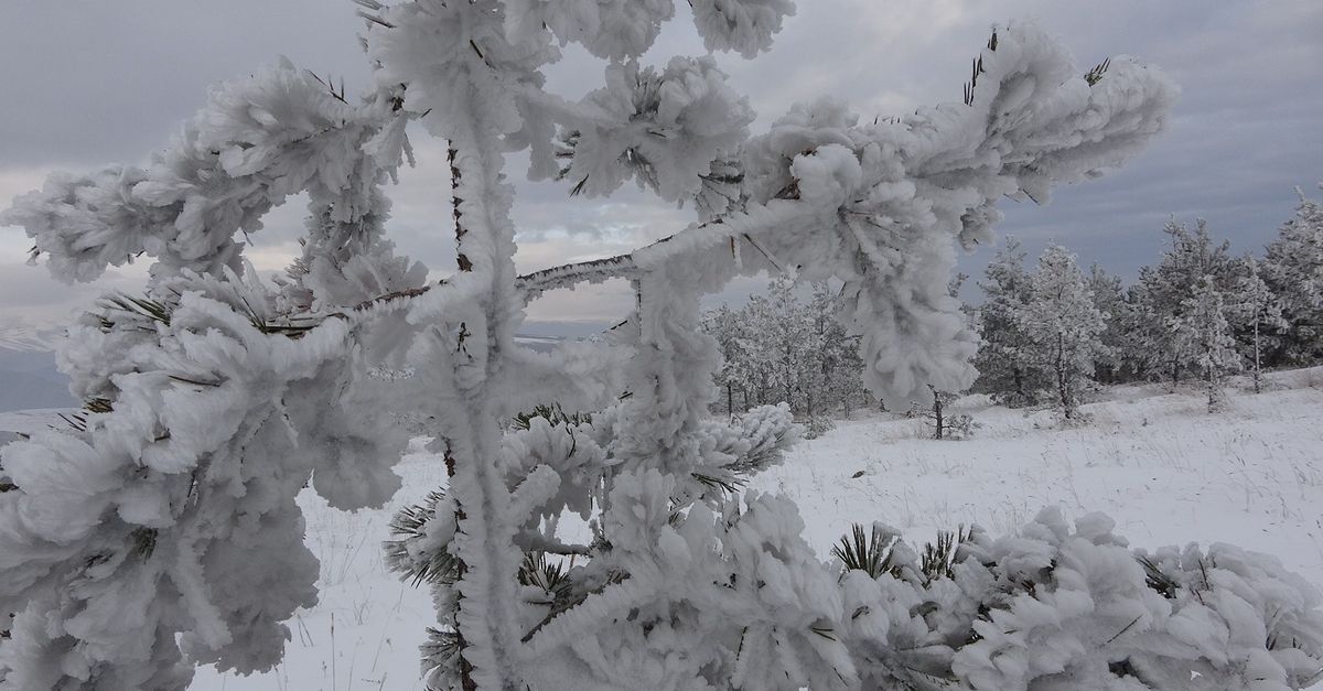 Türkiye dondu! Göle eksi 40’ı gördü