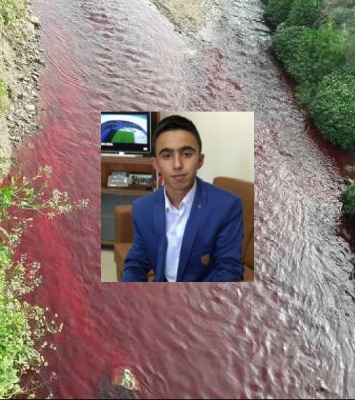 Bursa Kestel Deresi’nde su yerine zehir akıyor