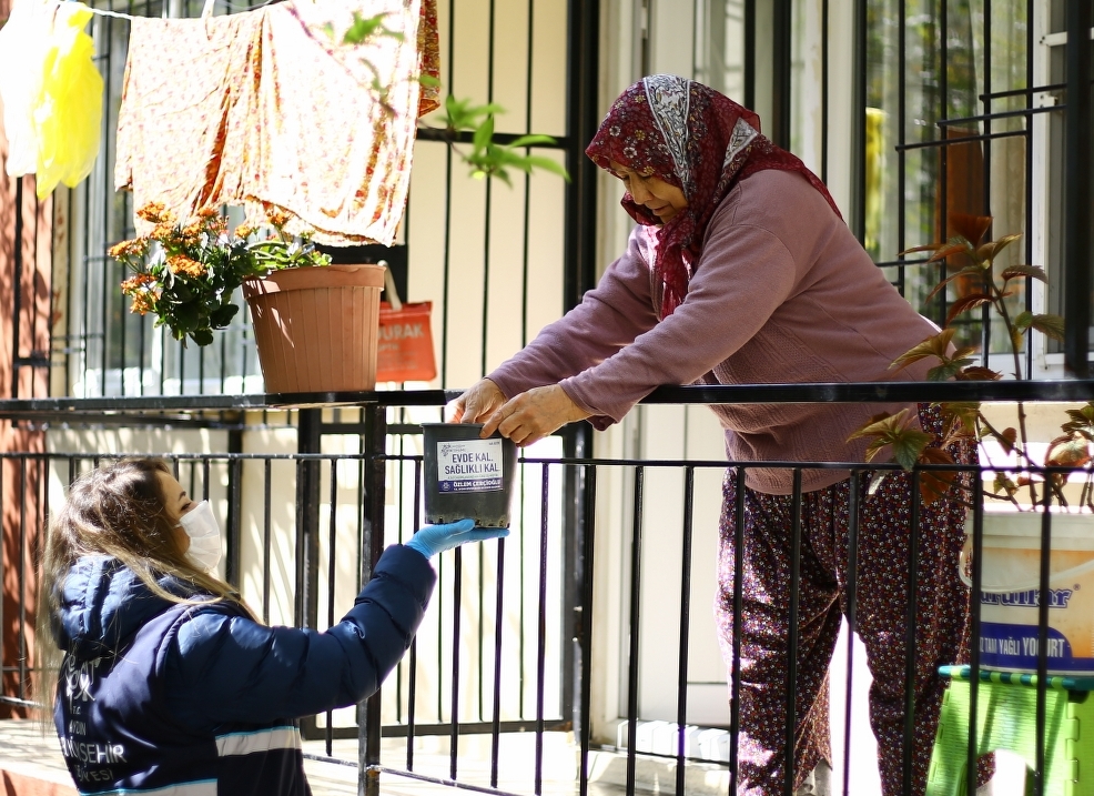 Aydınlılar Korona günlerinde evde “Ata Tohumları” üretiyor