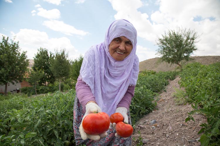 Efsane Başkan Yavaş çiftçinin yüzünü güldürmeye devam ediyor