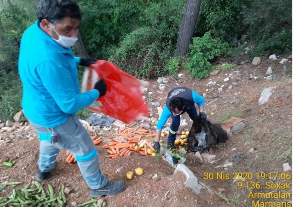 YABAN DOMUZLARINA BESLEMELİ ÖNLEM