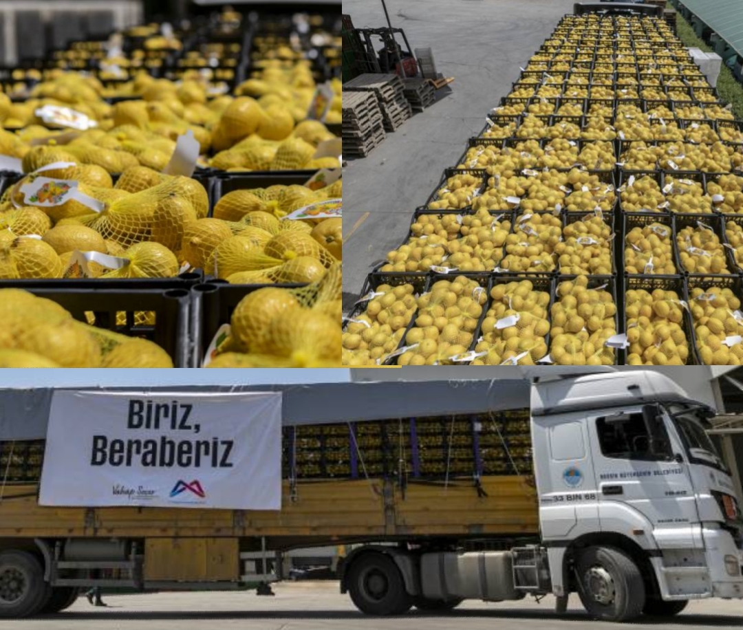 Mersin Büyükşehir’den İstanbul ve Ankara’ya Son Limon Sevkiyatı