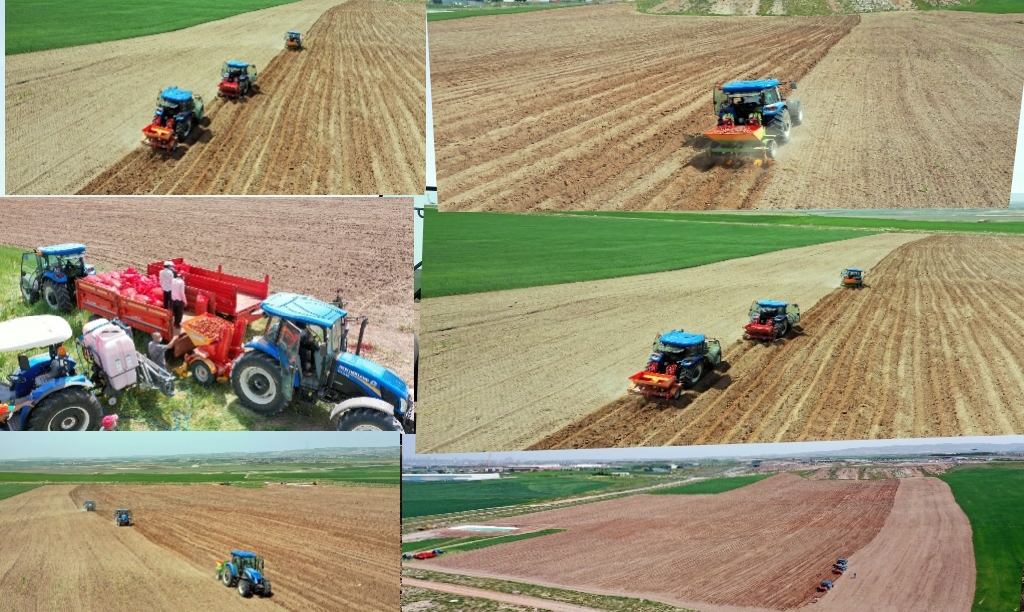 ANKARA’DA EKİLEN ÜRÜNLER İHTİYAÇ SAHİPLERİNE ULAŞTIRILACAK