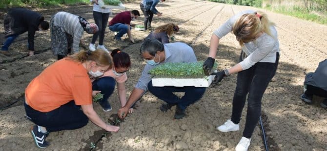 CHP BURSA TARLAYA İNDİ!