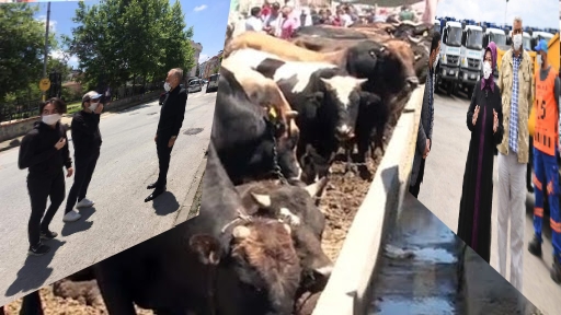 İKİ İLÇE HALKI BURADA HAYVAN PAZARININ KURULMASINI KESİNLİKLE İSTEMİYOR!