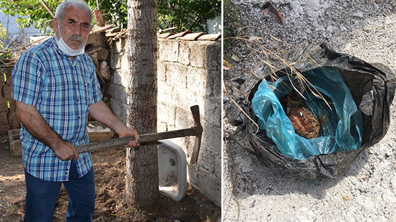 Zile’de Bir vatandaş Bahçesini çapalarken şaşkına döndü