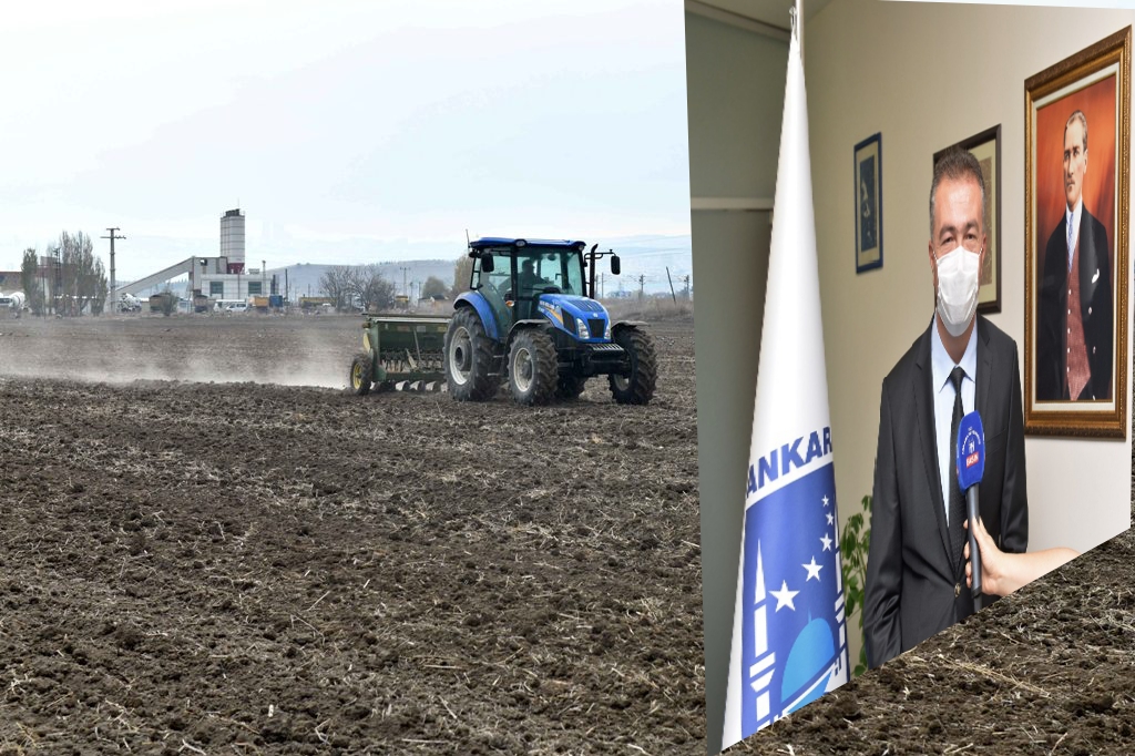 MACAR FİĞ TOHUMU DESTEĞİ İÇİN BAŞVURU REKORU