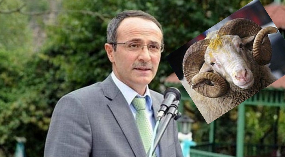 Dipsiz kuyu için talan emri veren müdür yeniden göreve geldi: ancak olan Koç’a oldu