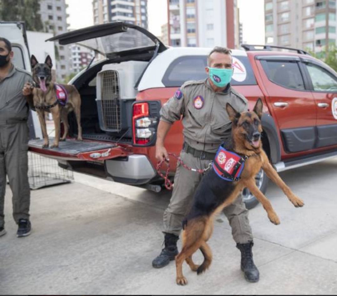 Türkiye İzmir için tek yürek oldu: Mersin Büyükşehir belediyesi yardıma koştu