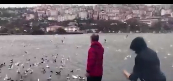 İYİLİK YAPAN İYİLİK BULUR ADEM’İN SESİNİ DUYAN KAZLAR, YEMEK İÇİN SIRAYLA GELİYOR