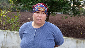 Marmaris’te kurt ve domuz sürüsü korkutuyor!