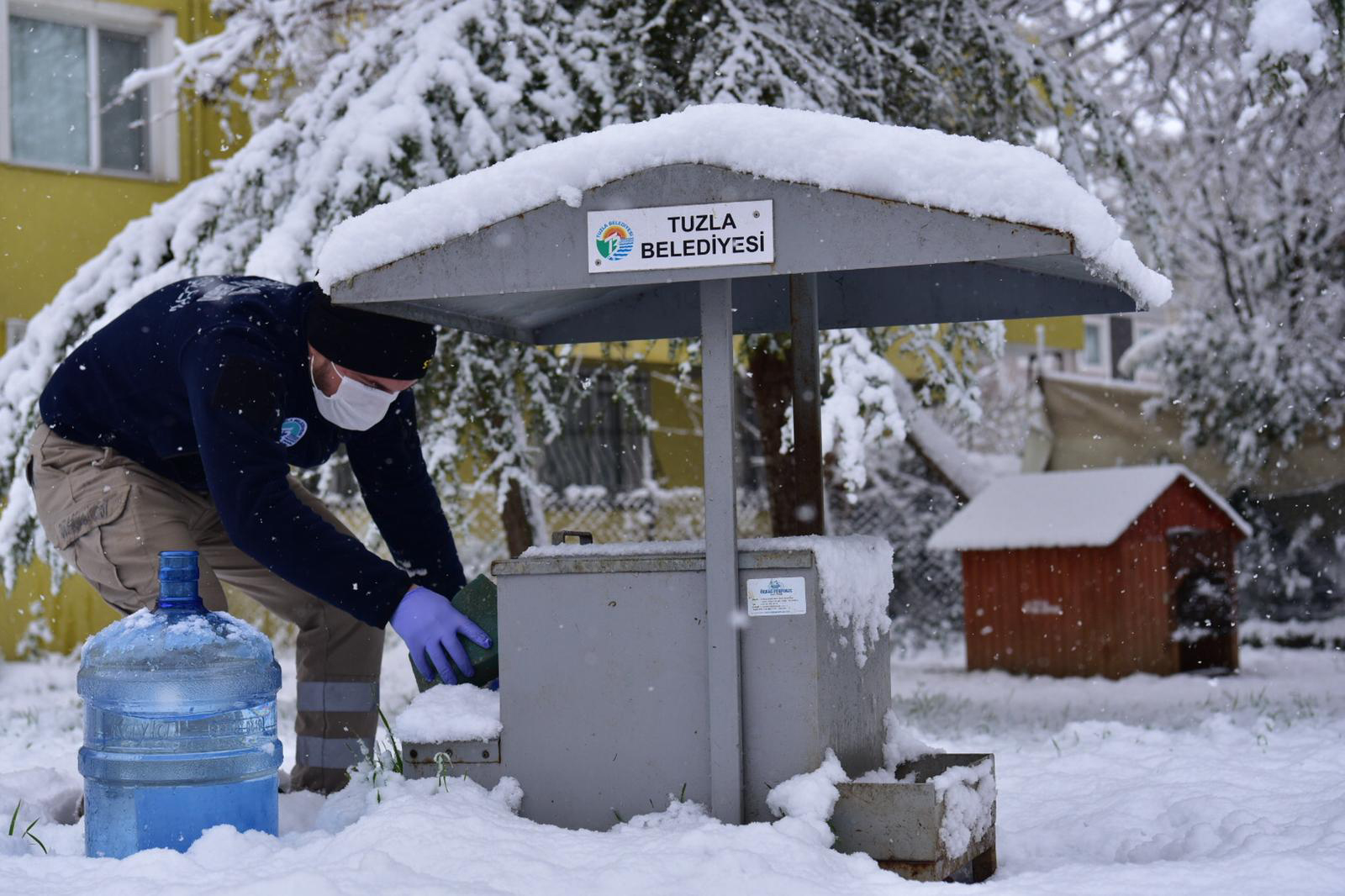 TUZLA’DA SOKAK HAYVANLARI UNUTULMADI MİNİK DOSTLARA ÜÇ GÜNDE 1 TON MAMA DAĞITILDI