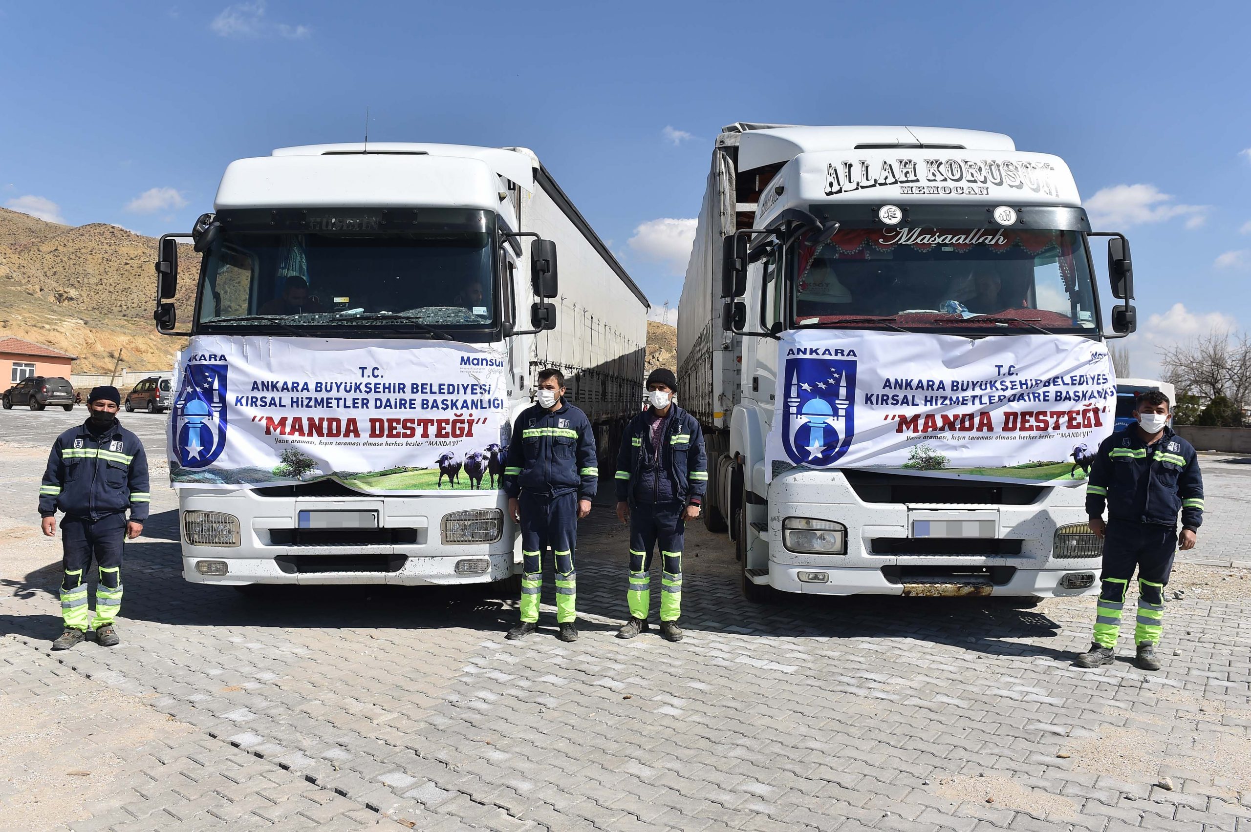 3 İLÇEDE GEBE MANDA DAĞITIMI TAMAMLANDI