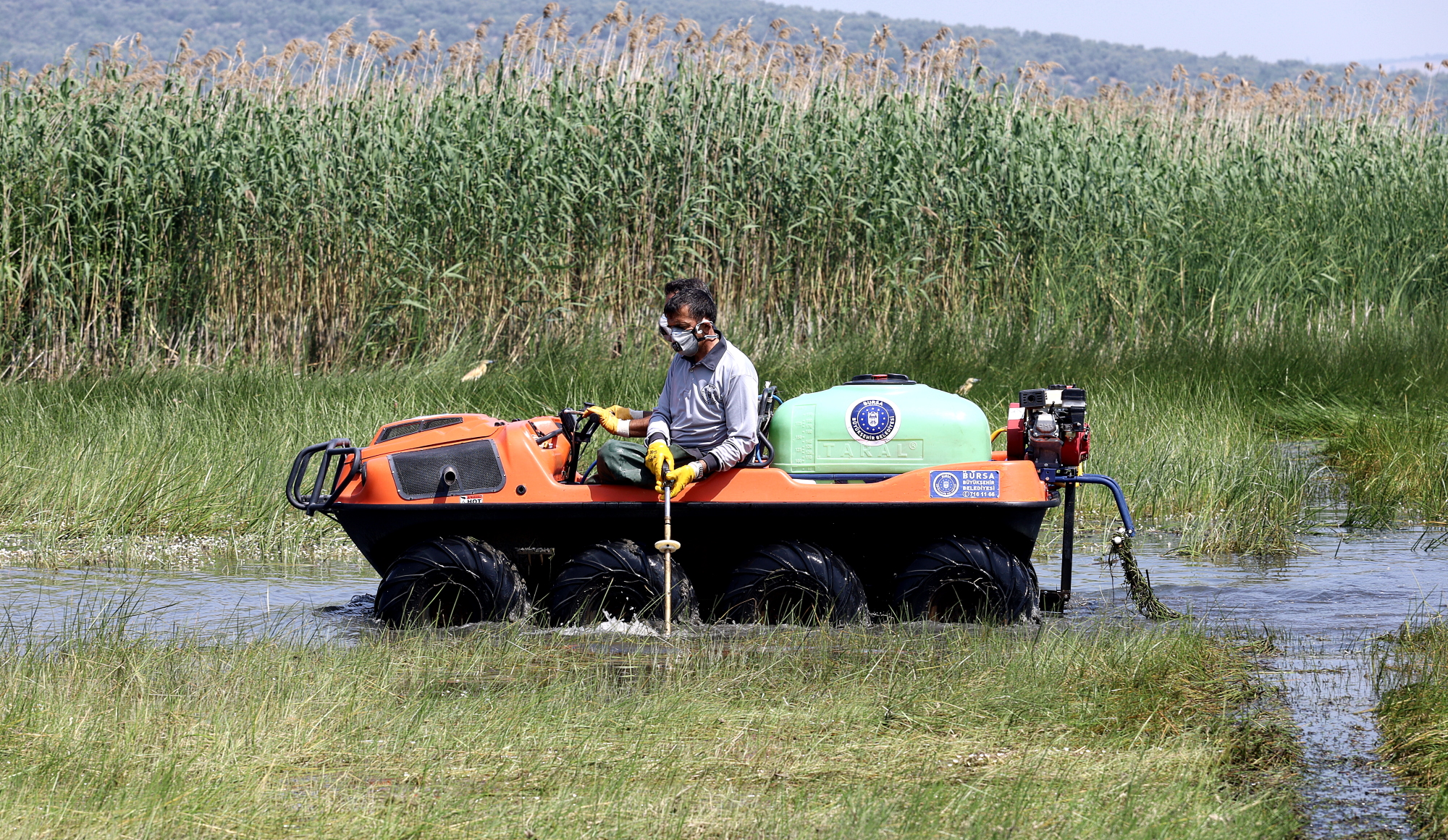 Bursa’da Sinekle mücadele hız kesmiyor