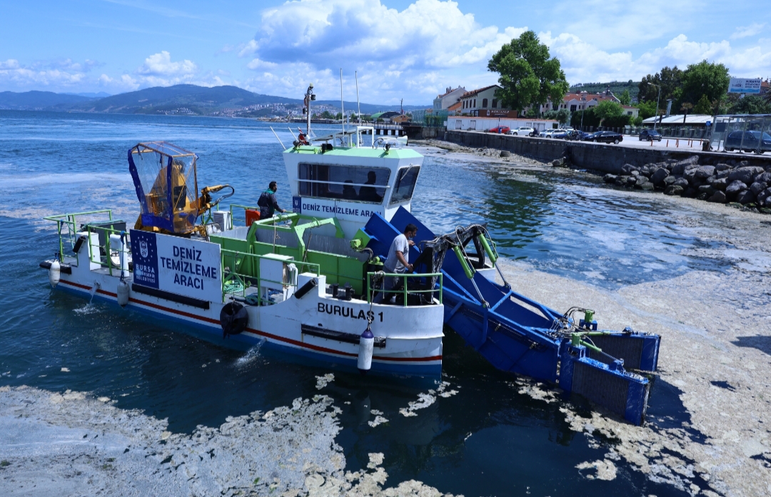 Son günlerde Ege Denizinde görülen salya operasyonu başladı