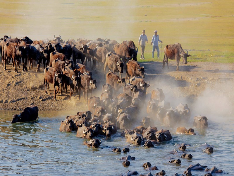 Tokat’ta Gezilecek Yerlerden  Doğasıyla Kaz Gölü Büyülüyor