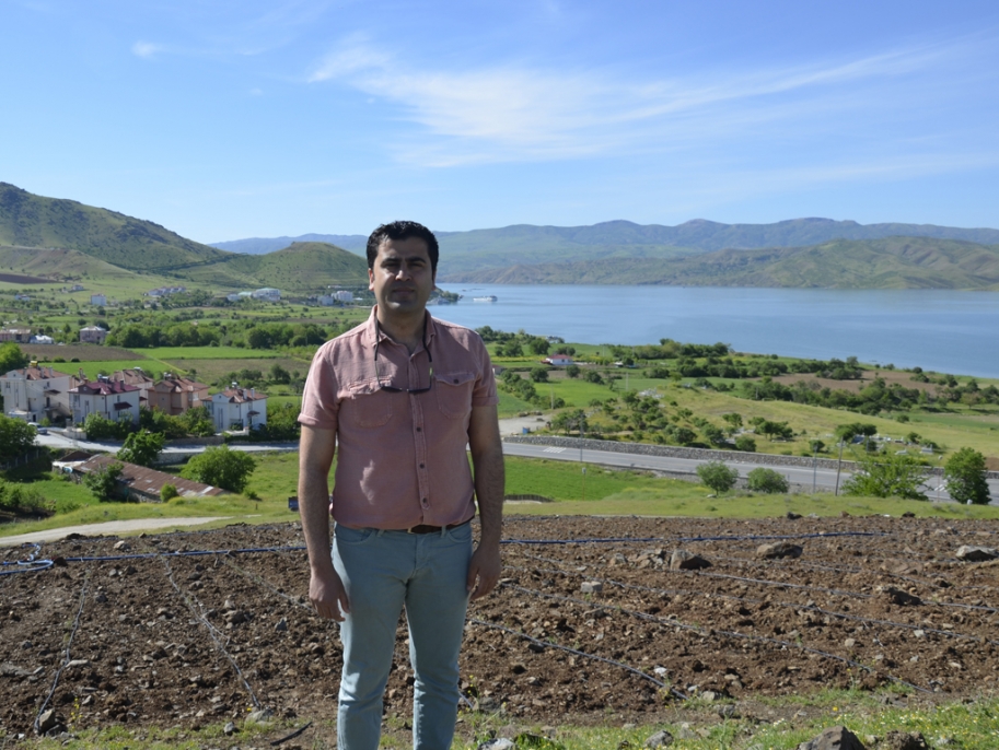 İlk kez dikimi gerçekleştirilen lavanta fideleri ile Pertek’i lavanta kokuları saracak.