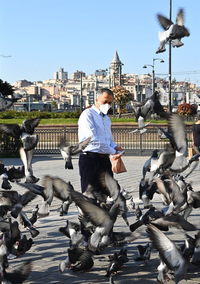 İstanbul Valisi Yerlikaya: “Tam Kapanma Döneminde Mama Kapları Boş Kalmasın”
