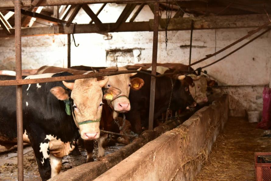 TUZLA’DA KURBANLIK SATIŞ VE KESİM NOKTALARINA SIKI DENETİM