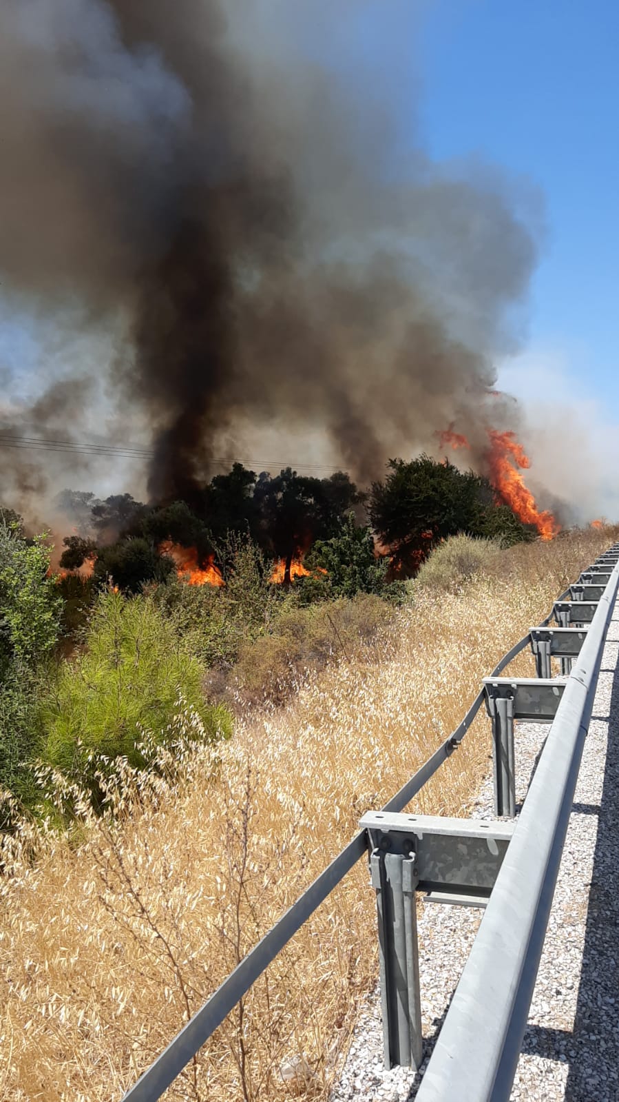 Milas Ekindere’de Yangın